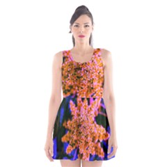 Yellow, Pink, And Blue Sumac Bloom Scoop Neck Skater Dress by okhismakingart