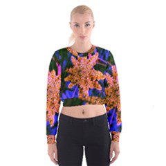 Yellow, Pink, And Blue Sumac Bloom Cropped Sweatshirt by okhismakingart