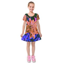 Yellow, Pink, And Blue Sumac Bloom Kids  Short Sleeve Velvet Dress