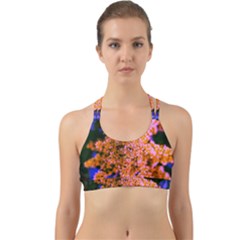 Yellow, Pink, And Blue Sumac Bloom Back Web Sports Bra by okhismakingart