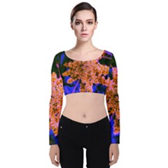 Yellow, Pink, And Blue Sumac Bloom Velvet Long Sleeve Crop Top by okhismakingart