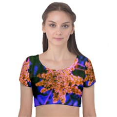 Yellow, Pink, And Blue Sumac Bloom Velvet Short Sleeve Crop Top  by okhismakingart