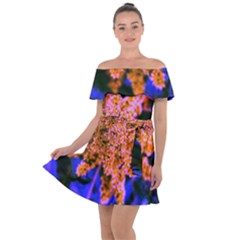 Yellow, Pink, And Blue Sumac Bloom Off Shoulder Velour Dress