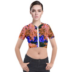 Yellow, Pink, And Blue Sumac Bloom Short Sleeve Cropped Jacket