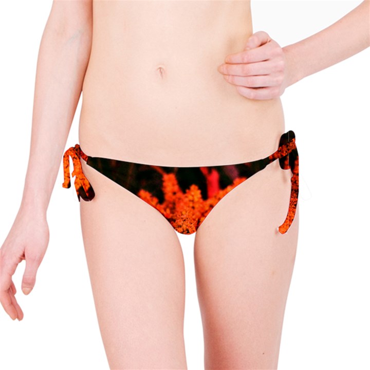 Orange Sumac Bloom Bikini Bottom