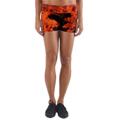 Orange Sumac Bloom Yoga Shorts by okhismakingart