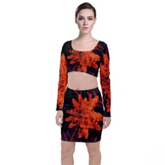 Orange Sumac Bloom Top And Skirt Sets by okhismakingart