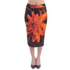 Orange Sumac Bloom Velvet Midi Pencil Skirt by okhismakingart