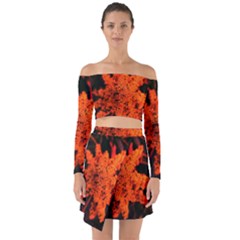 Orange Sumac Bloom Off Shoulder Top With Skirt Set by okhismakingart