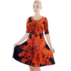 Orange Sumac Bloom Quarter Sleeve A-line Dress by okhismakingart