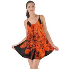 Orange Sumac Bloom Love The Sun Cover Up by okhismakingart