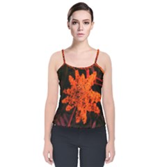 Orange Sumac Bloom Velvet Spaghetti Strap Top by okhismakingart