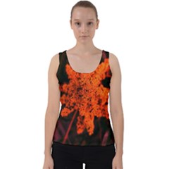 Orange Sumac Bloom Velvet Tank Top by okhismakingart