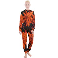 Orange Sumac Bloom Women s Lounge Set by okhismakingart