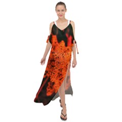 Orange Sumac Bloom Maxi Chiffon Cover Up Dress by okhismakingart