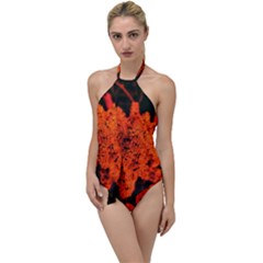 Orange Sumac Bloom Go With The Flow One Piece Swimsuit by okhismakingart