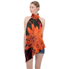 Orange Sumac Bloom Halter Asymmetric Satin Top by okhismakingart