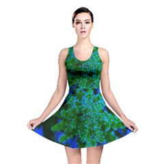 Blue And Green Sumac Bloom Reversible Skater Dress by okhismakingart