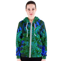 Blue And Green Sumac Bloom Women s Zipper Hoodie by okhismakingart