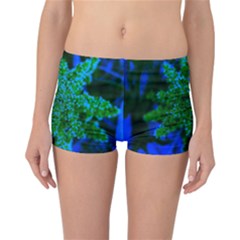 Blue And Green Sumac Bloom Reversible Boyleg Bikini Bottoms by okhismakingart