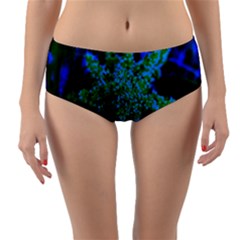 Blue And Green Sumac Bloom Reversible Mid-waist Bikini Bottoms by okhismakingart