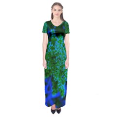 Blue And Green Sumac Bloom Short Sleeve Maxi Dress by okhismakingart