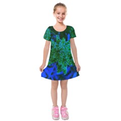 Blue And Green Sumac Bloom Kids  Short Sleeve Velvet Dress