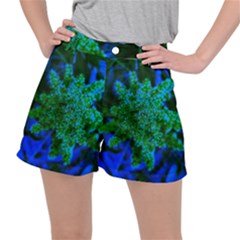 Blue And Green Sumac Bloom Stretch Ripstop Shorts by okhismakingart