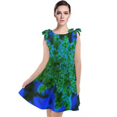 Blue And Green Sumac Bloom Tie Up Tunic Dress by okhismakingart