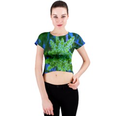 Lime Green Sumac Bloom Crew Neck Crop Top by okhismakingart