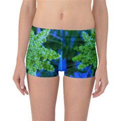 Lime Green Sumac Bloom Reversible Boyleg Bikini Bottoms by okhismakingart