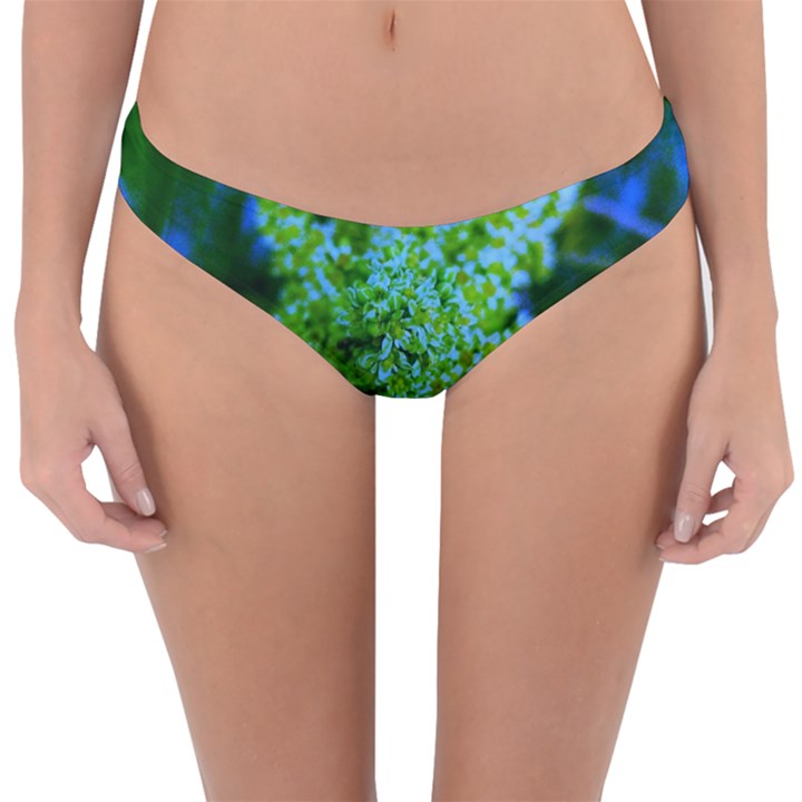 Lime Green Sumac Bloom Reversible Hipster Bikini Bottoms