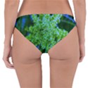 Lime Green Sumac Bloom Reversible Hipster Bikini Bottoms View4