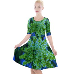 Lime Green Sumac Bloom Quarter Sleeve A-line Dress by okhismakingart