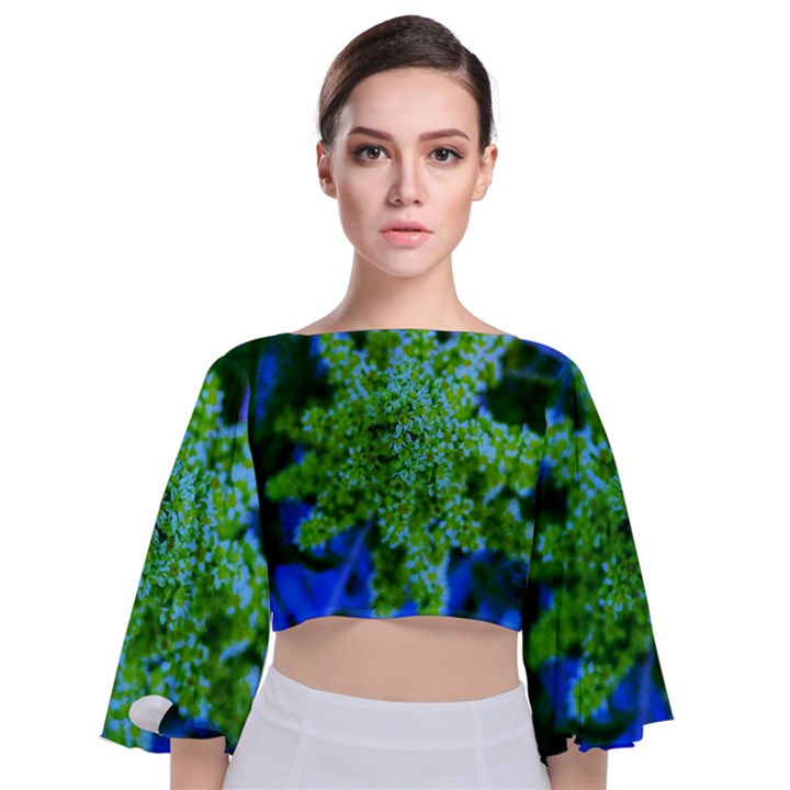 Lime Green Sumac Bloom Tie Back Butterfly Sleeve Chiffon Top