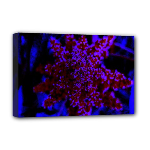 Maroon And Blue Sumac Bloom Deluxe Canvas 18  X 12  (stretched) by okhismakingart