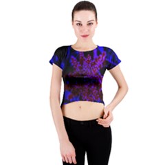 Maroon And Blue Sumac Bloom Crew Neck Crop Top by okhismakingart