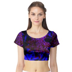 Maroon And Blue Sumac Bloom Short Sleeve Crop Top by okhismakingart