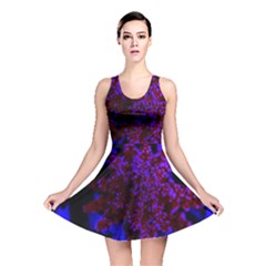 Maroon And Blue Sumac Bloom Reversible Skater Dress by okhismakingart