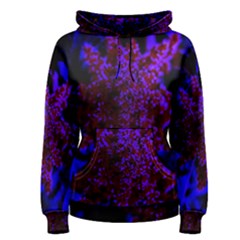 Maroon And Blue Sumac Bloom Women s Pullover Hoodie by okhismakingart