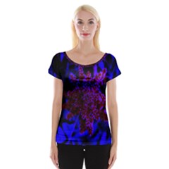 Maroon And Blue Sumac Bloom Cap Sleeve Top by okhismakingart