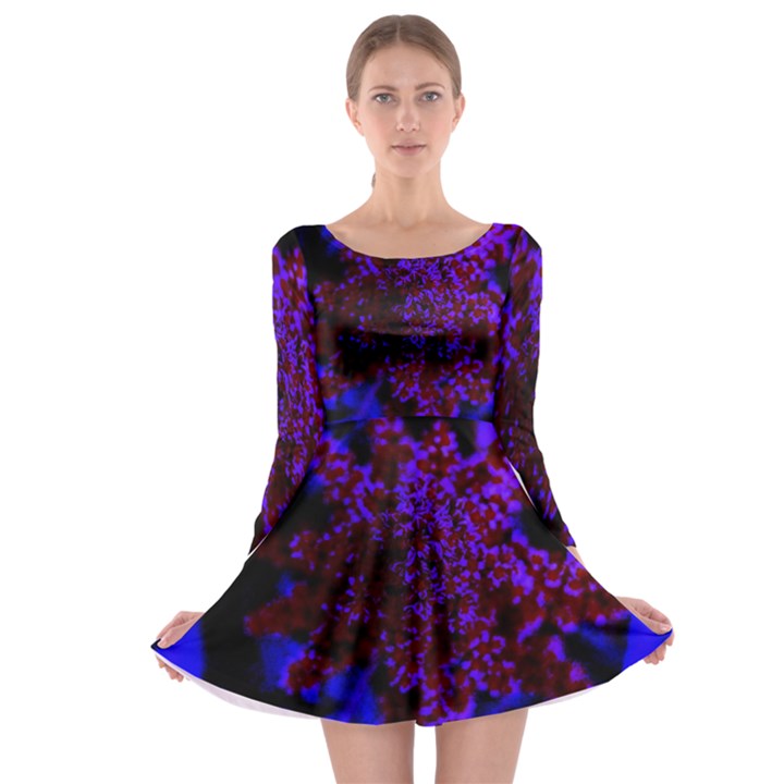 Maroon and Blue Sumac Bloom Long Sleeve Skater Dress