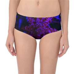 Maroon And Blue Sumac Bloom Mid-waist Bikini Bottoms by okhismakingart