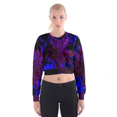 Maroon And Blue Sumac Bloom Cropped Sweatshirt by okhismakingart