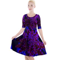 Maroon And Blue Sumac Bloom Quarter Sleeve A-line Dress by okhismakingart