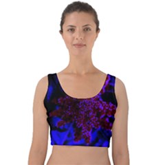 Maroon And Blue Sumac Bloom Velvet Crop Top by okhismakingart