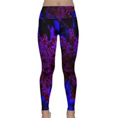 Maroon And Blue Sumac Bloom Lightweight Velour Classic Yoga Leggings by okhismakingart