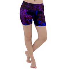 Maroon And Blue Sumac Bloom Lightweight Velour Yoga Shorts by okhismakingart