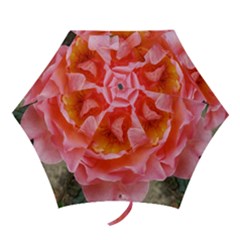 Pink Rose Mini Folding Umbrellas by okhismakingart