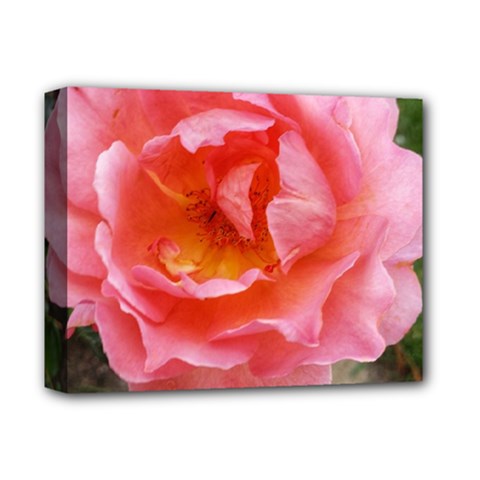 Pink Rose Deluxe Canvas 14  X 11  (stretched) by okhismakingart